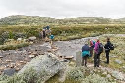 Wandern in Norwegen - Farbrausch in Rondane